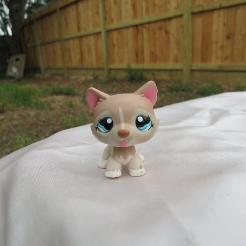 littlest pet shop🐶🤍
